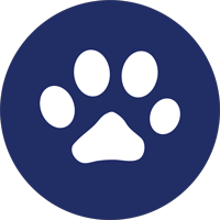 animal assisted therapy