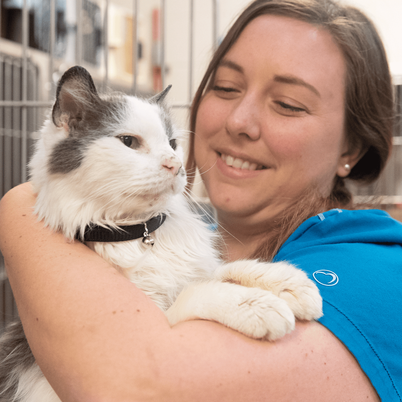 Guelph Humane Society, person with cat