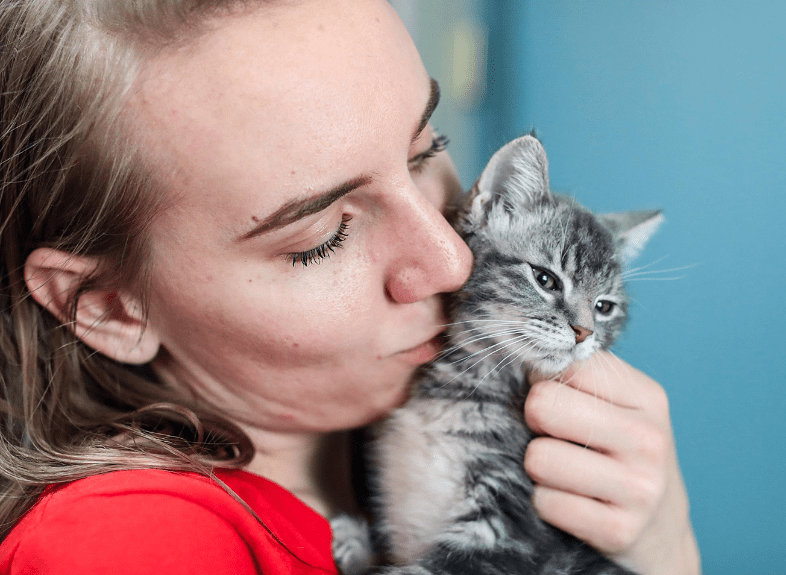 Kitten Season Slider | Adopt
