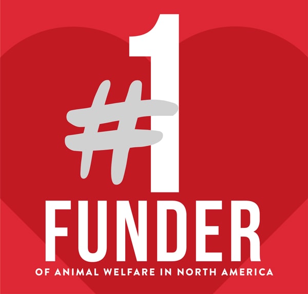 #1 Funder of animal welfare in North America