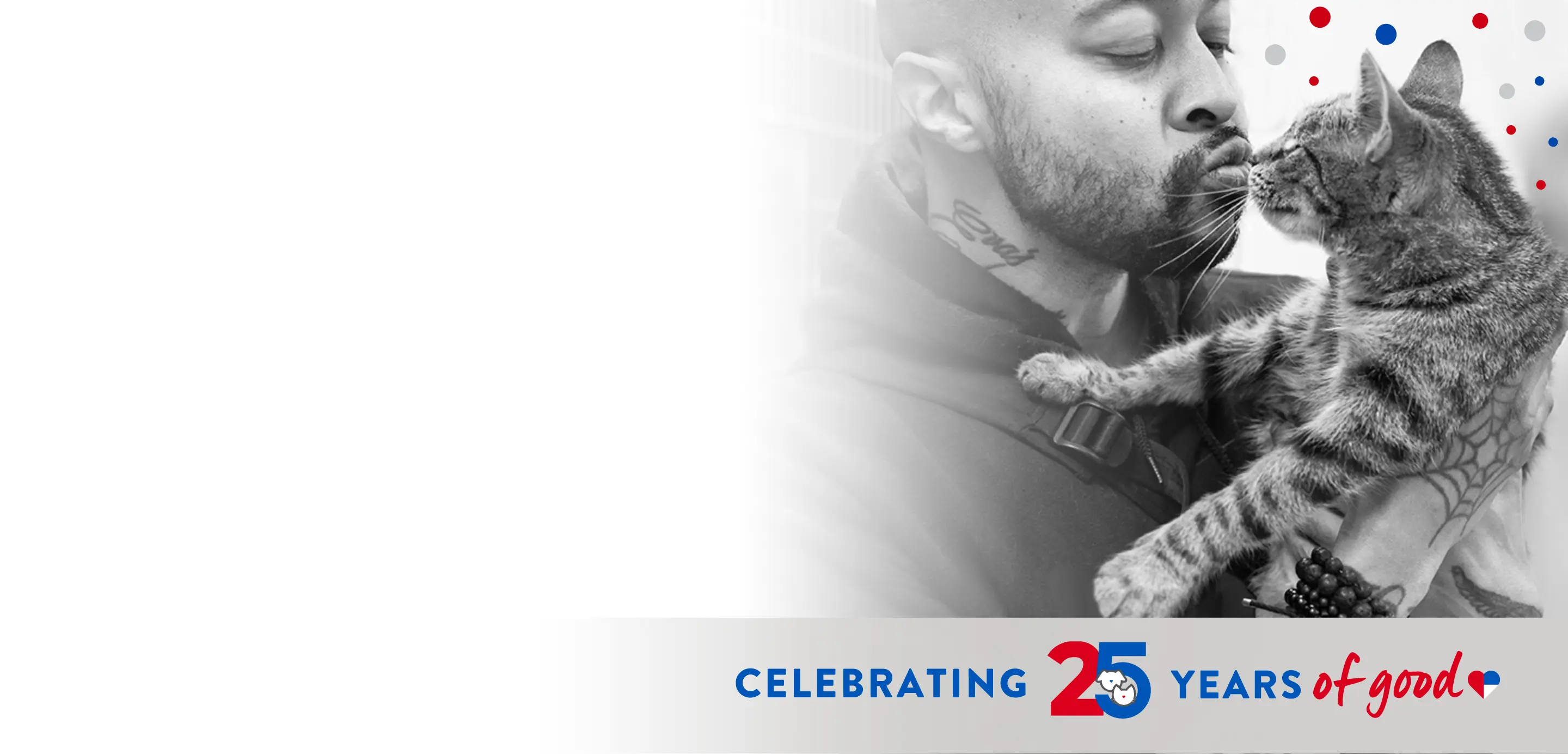 Celebrating 25 years of good during National Adoption Week