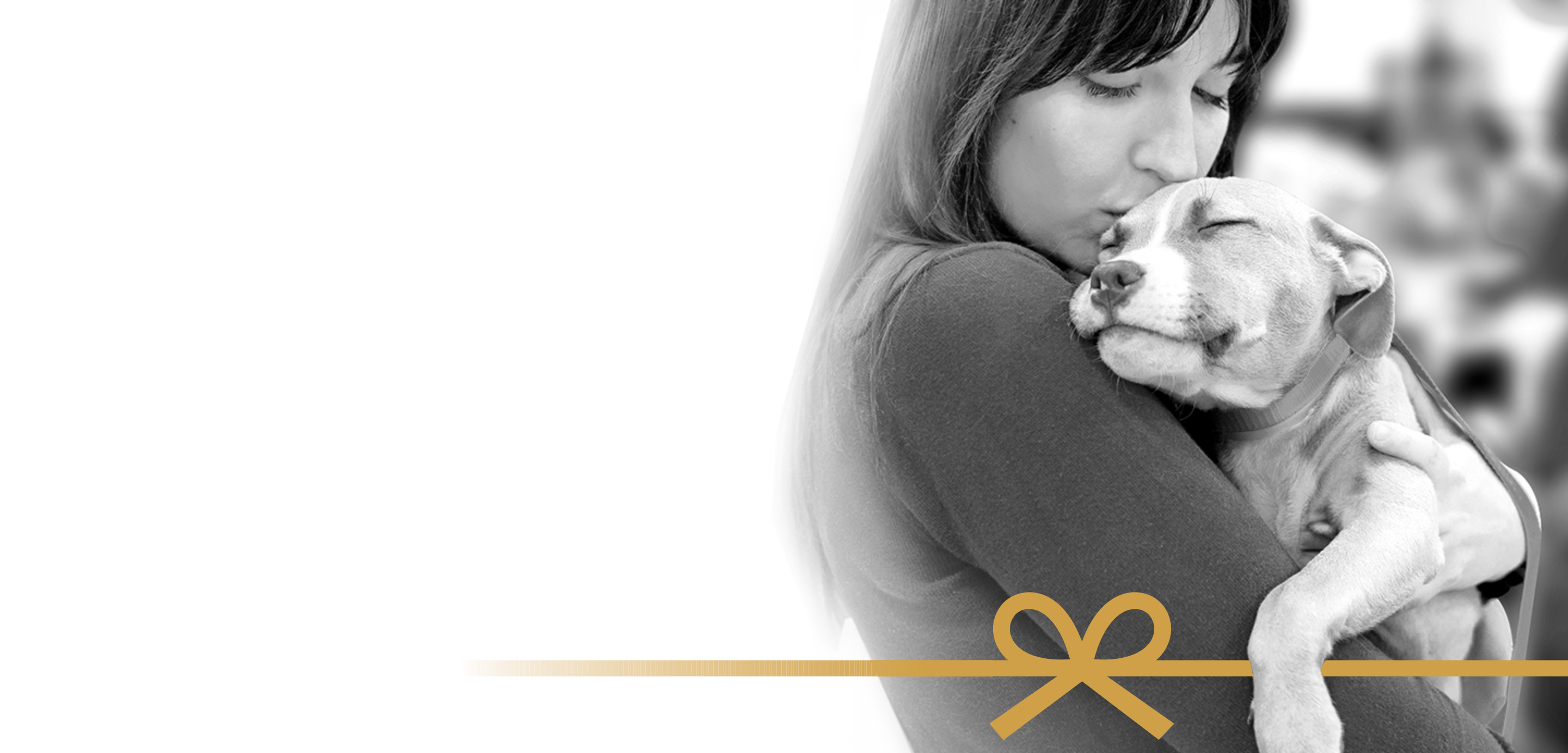 woman snuggling a puppy in her arms, a digital bow graphic