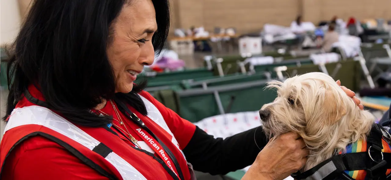 Red Cross volunteer greets a dog impacted by a natural disaster