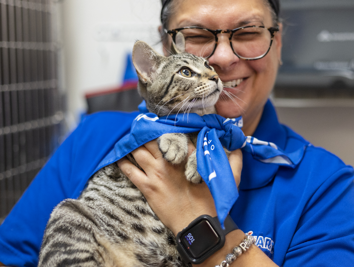 a woman wearing glasses laughs while posing with a cat wearing a blue bandana