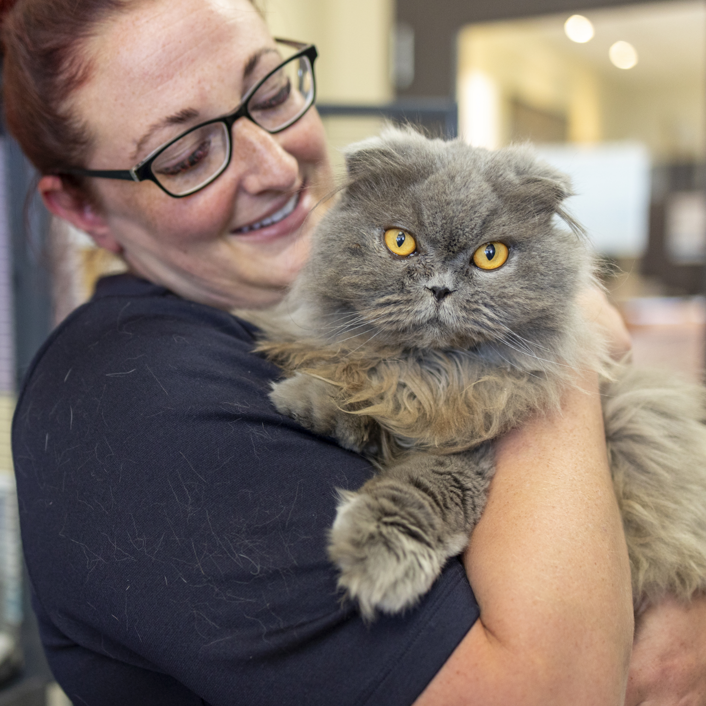 A woman wearing glasses holds and looks lovingly at a fluffy grey cat with yellow eyes