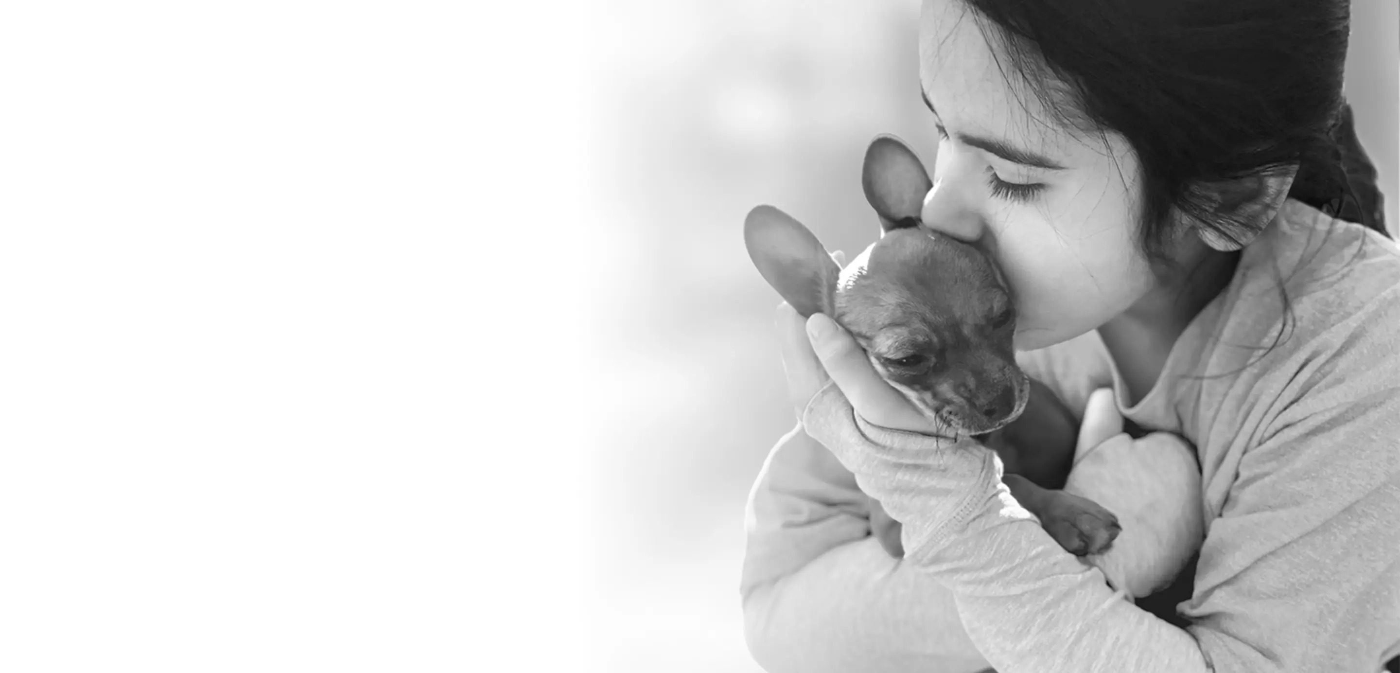 young girl kisses a chihuahua on the side of the head