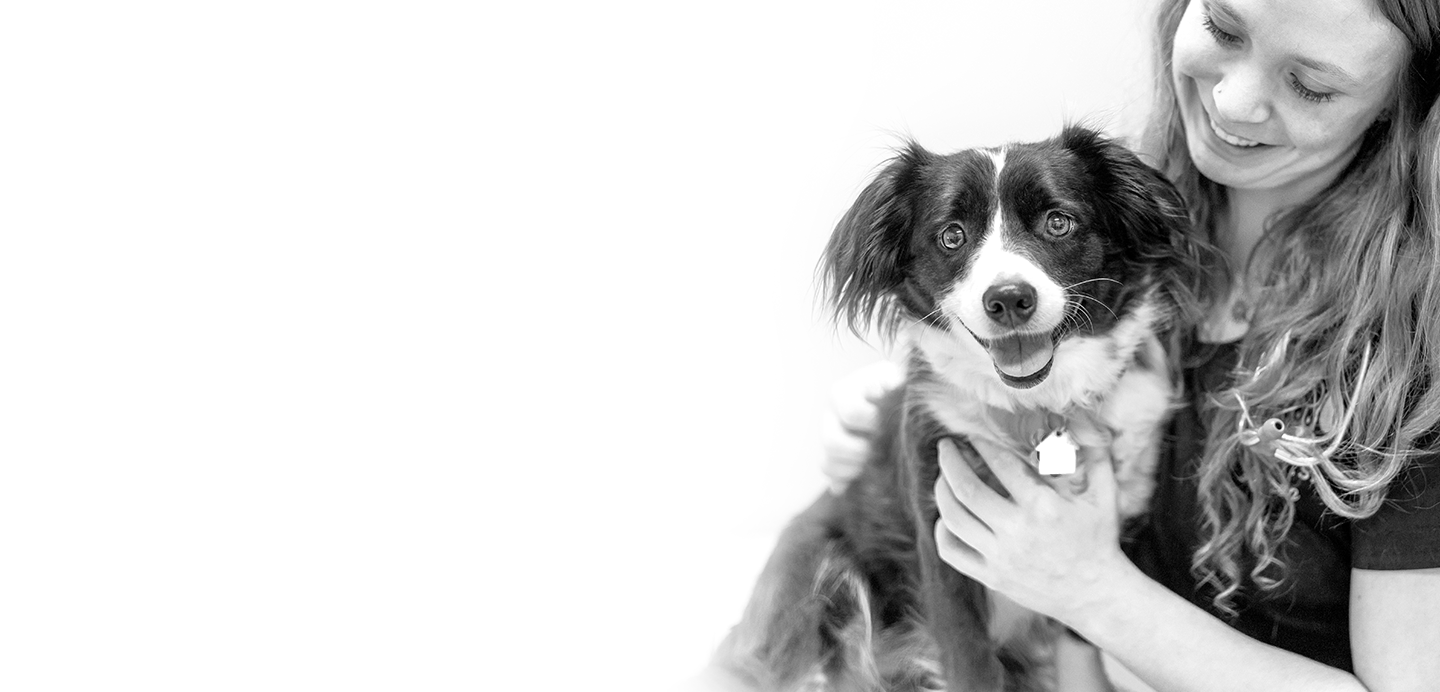 a veterinarian smiles at a long haired dog sitting in her lap