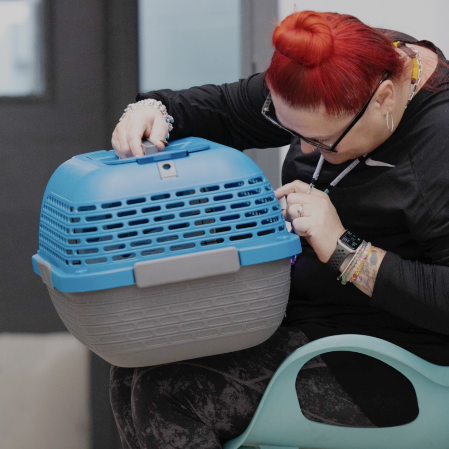 Cat in crate