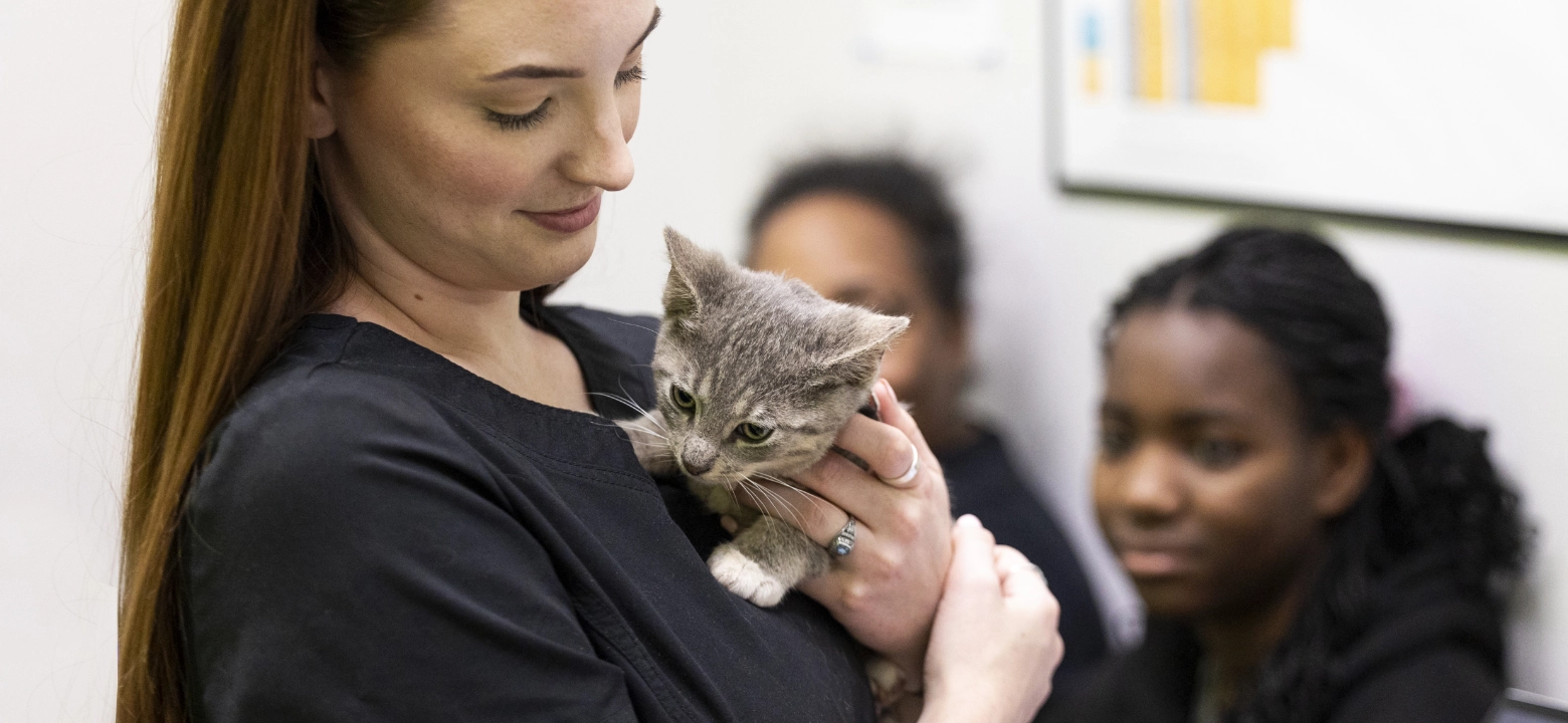 a veterinarian holds a kitten in her arms while the kitten's pet parents look at her