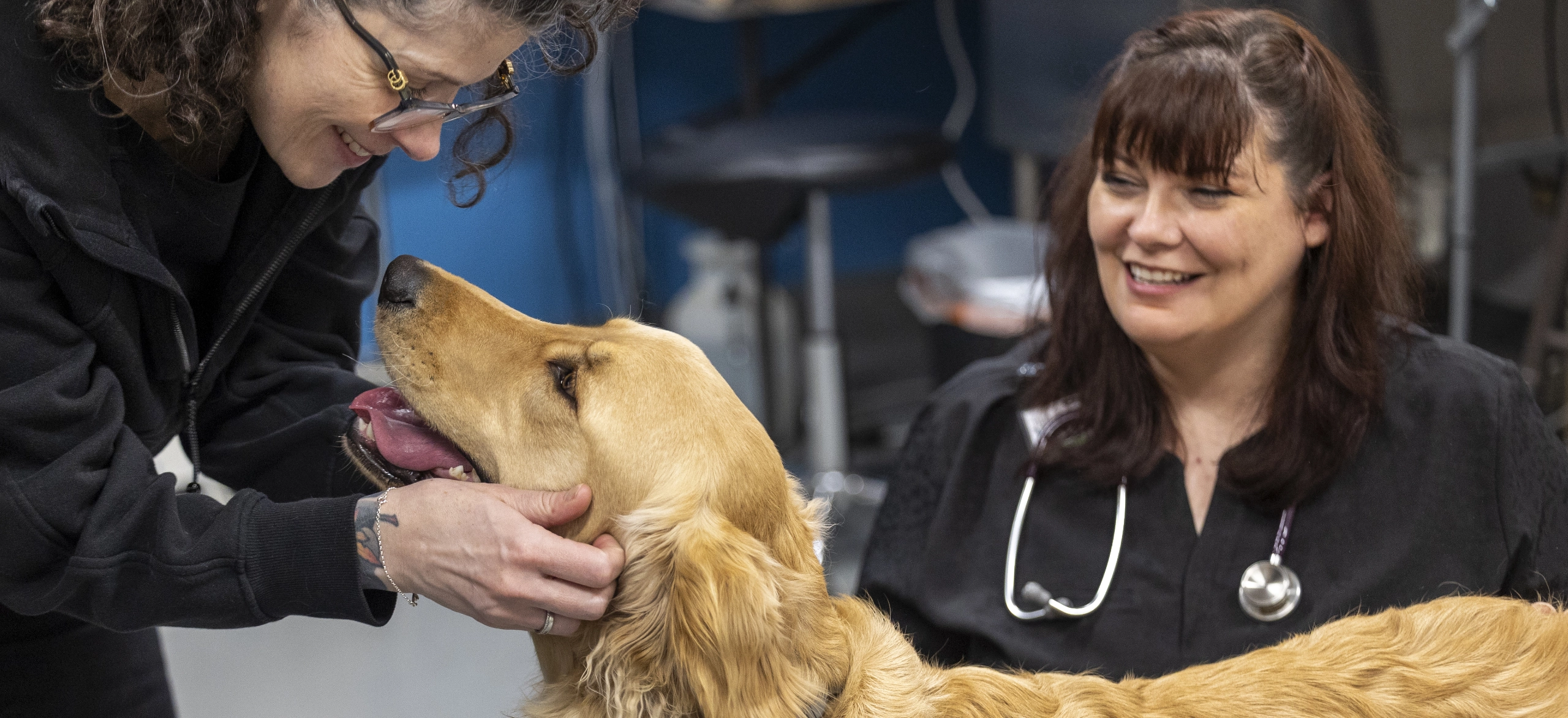 a woman leans down to pet a golden retriever while a veterinarian smiles at them both