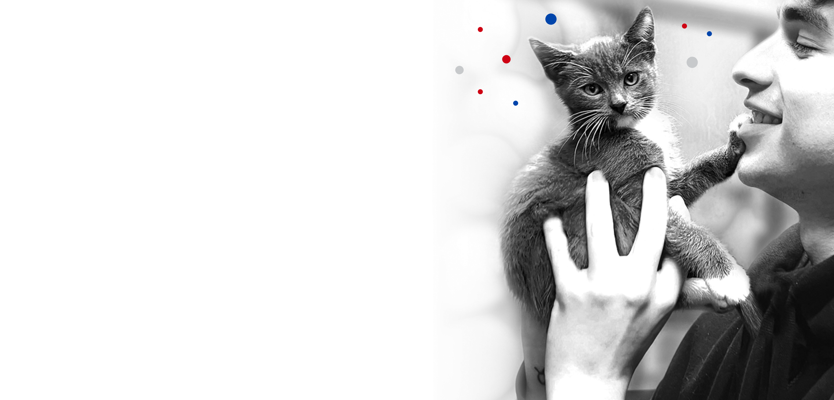 Man looking at cat