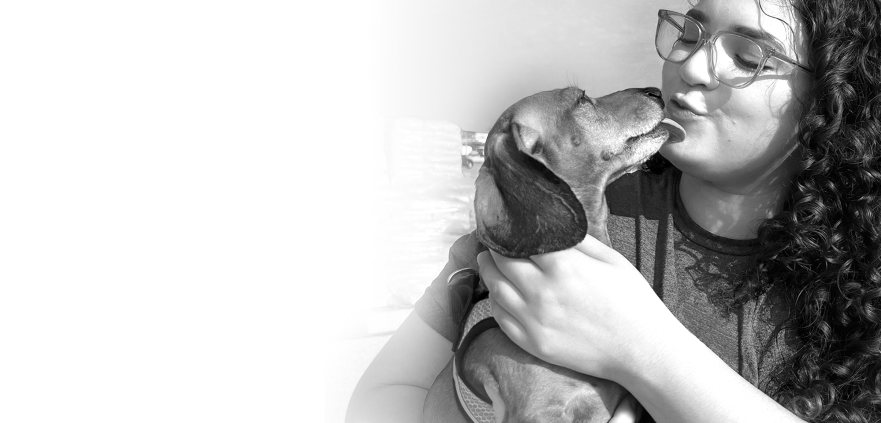 PHAD triple impact girl with dog