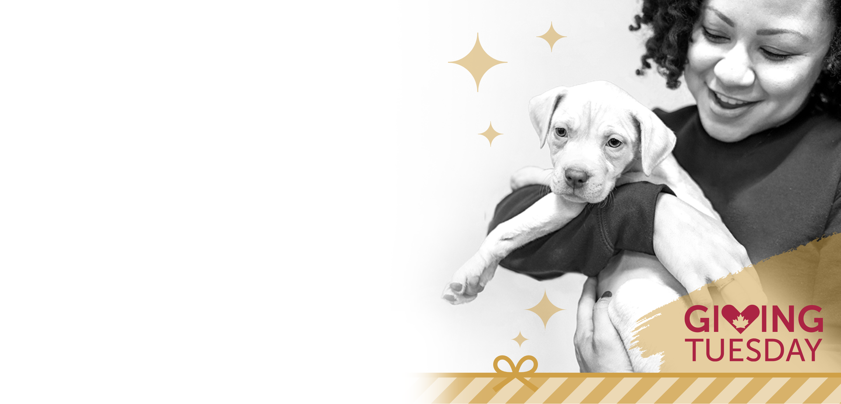 girl with dog giving tuesday CA