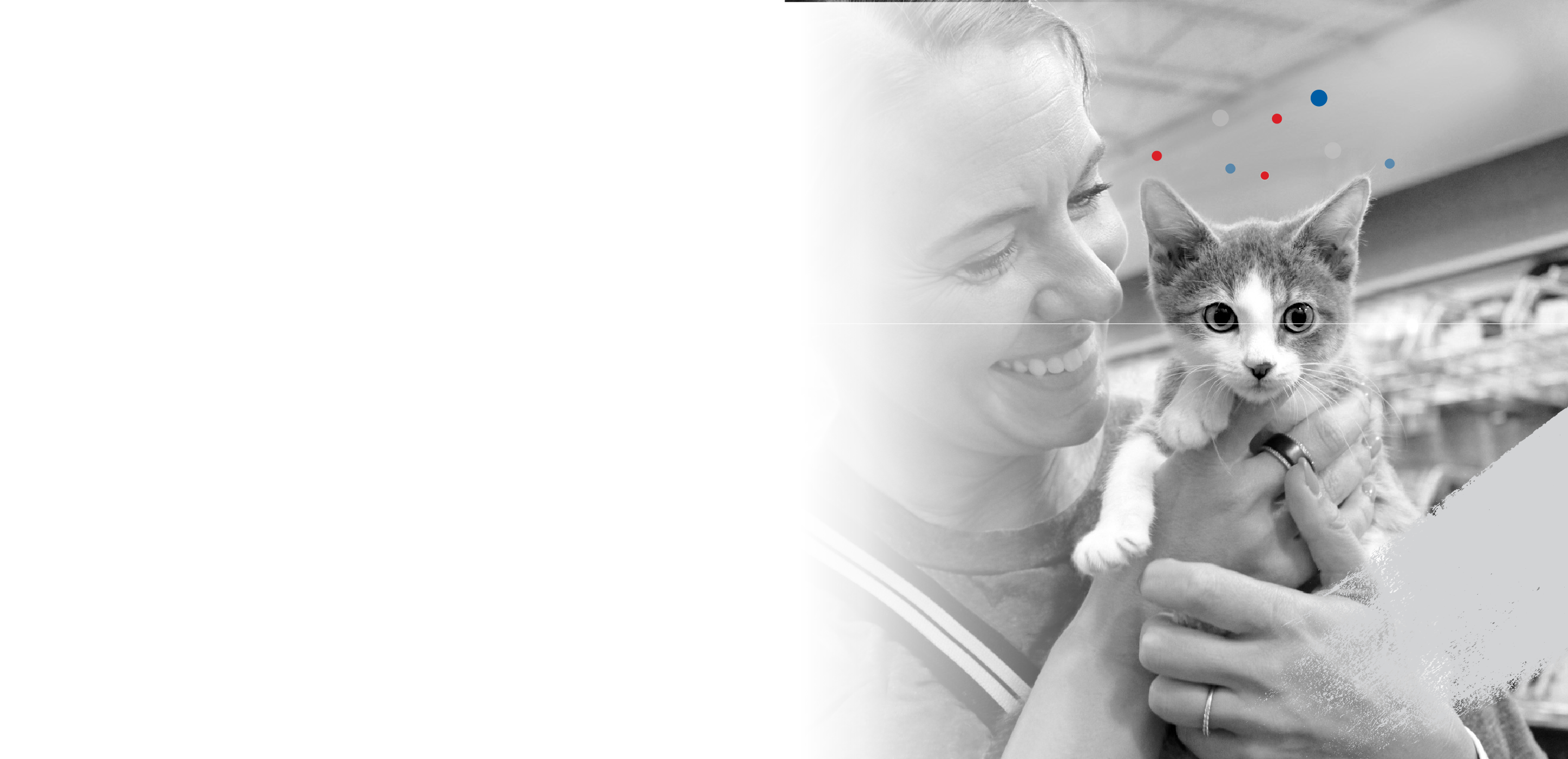 heidi with cat march naw