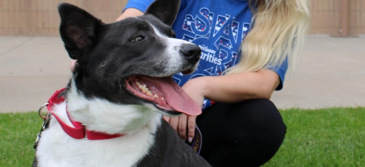 Foster in Denver Lady Anne