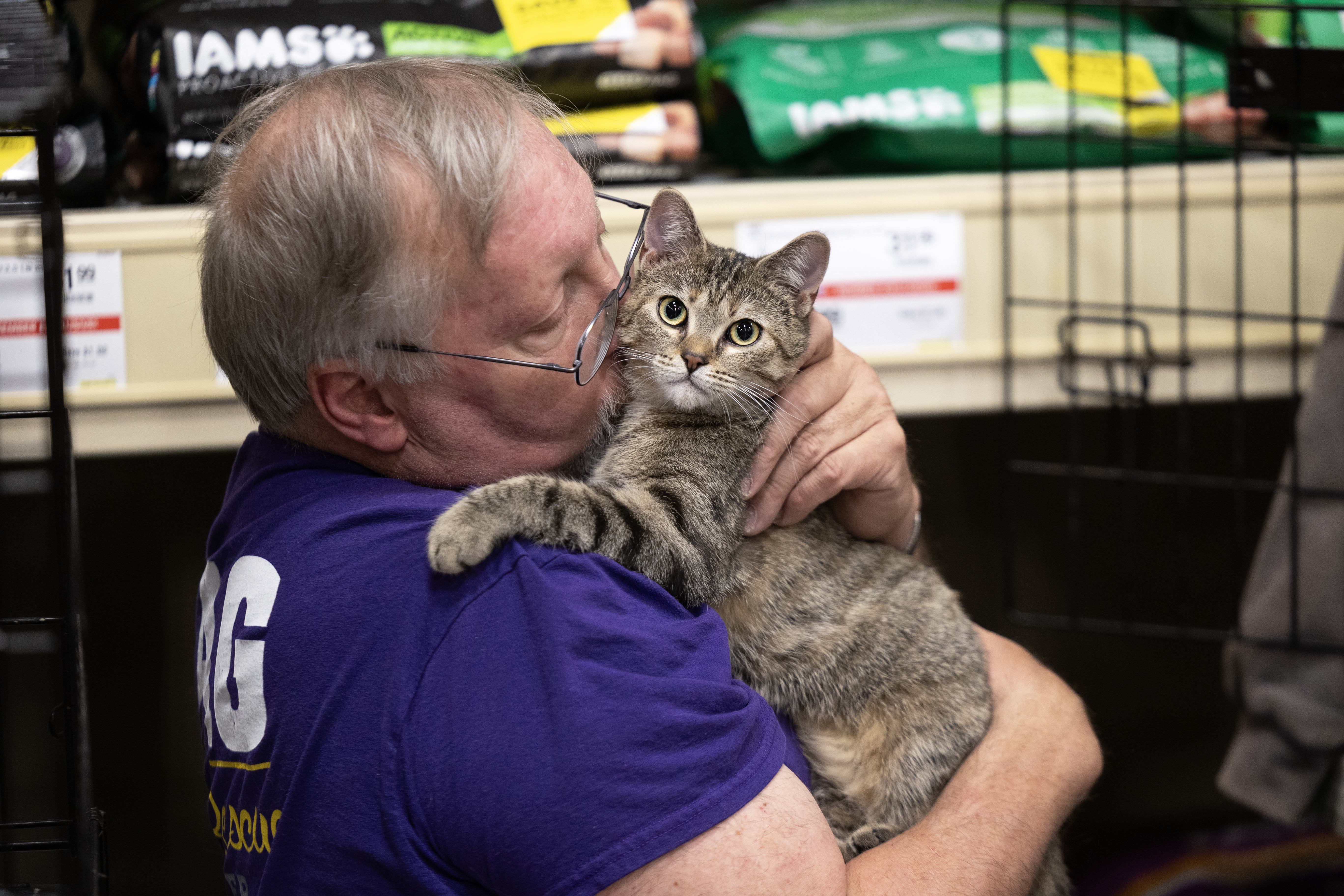 cat loving cities PR CA
