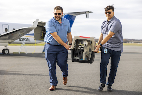 Two people carrying a dog in a crate across an airport tarmac
