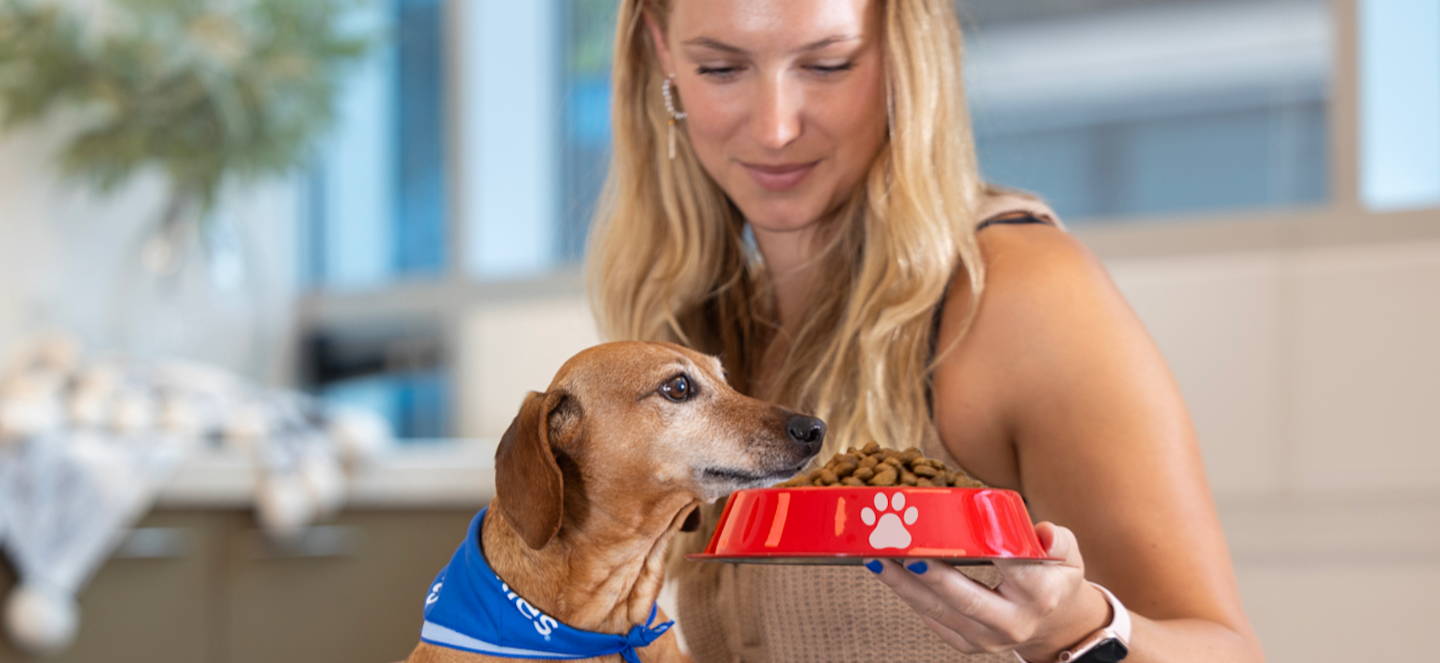 pet parent holding food bowl in front of her dog