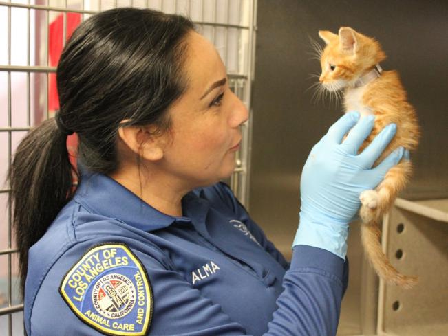Los Angeles County Animal Care and Control