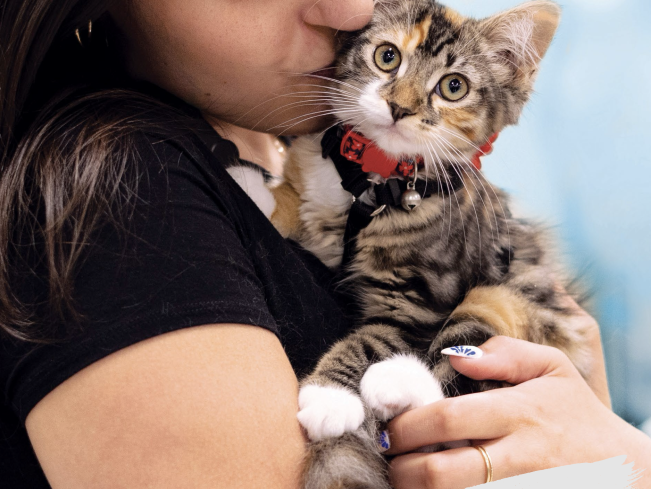 woman with cat 2024 impact report CA