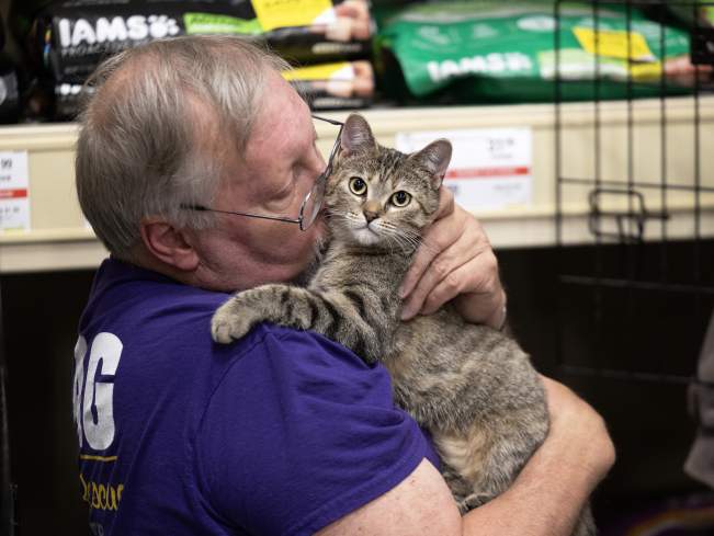 cat loving cities PR CA
