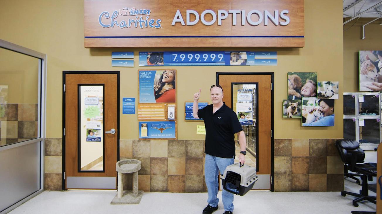 in-store adoptions