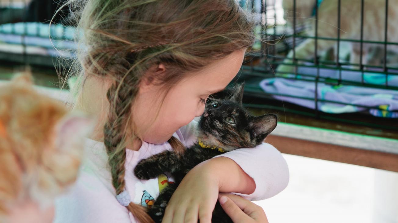 Make A Lasting Impact: Donate To An Animal Charity | PetSmart Charities