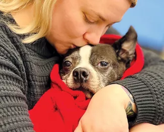 a woman kisses the top of a frenchie's head