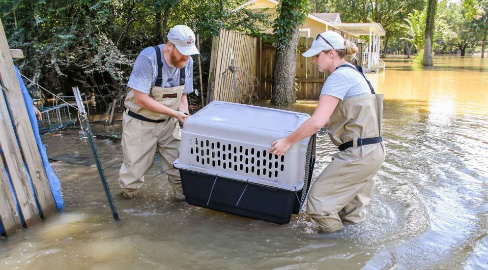 2005 Disaster Relief