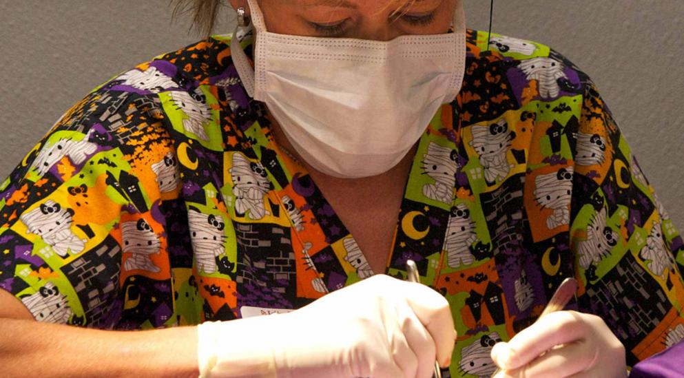 2011 Spay and Neuter
