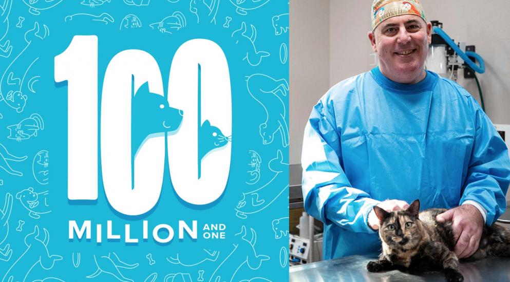 2017 100 Million and One