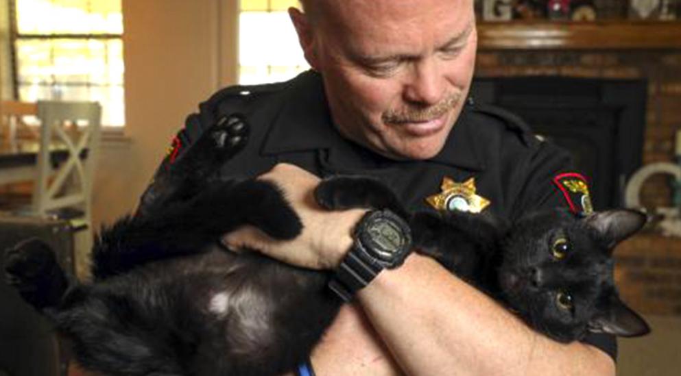 2018 Eight Million Adoptions