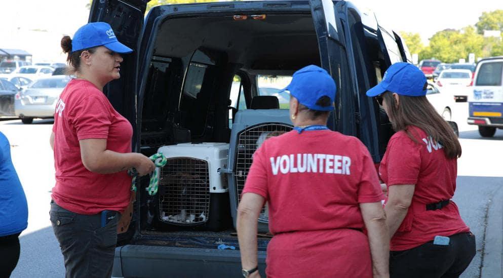 About Us | PetSmart Charities